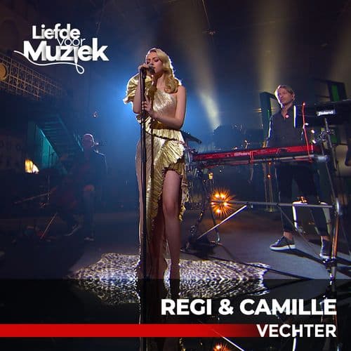 Album cover art for Vechter