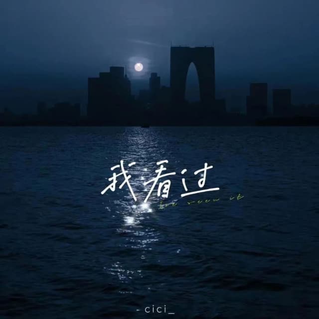 Album cover art for 我看过