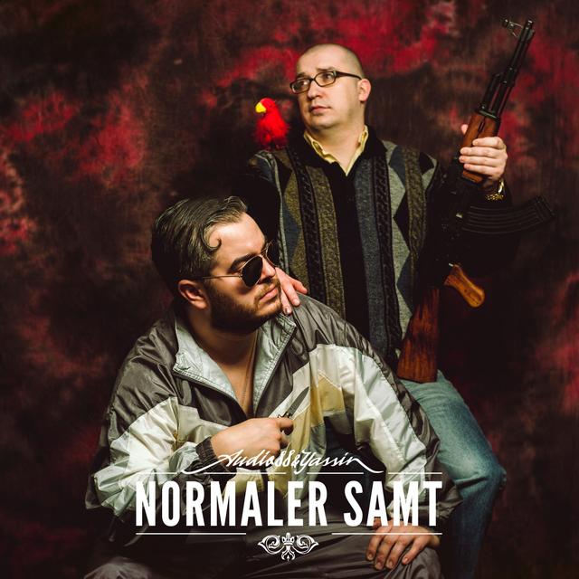 Album cover art for Normaler Samt