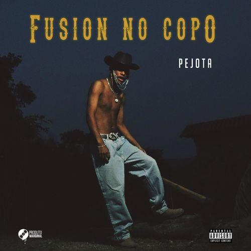 Album cover art for Fusion no Copo