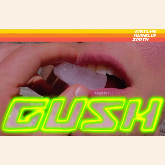 Album cover art for Gush