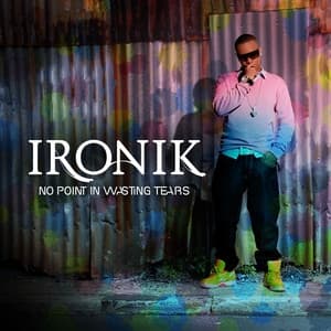 Album cover art for No Point In Wasting Tears