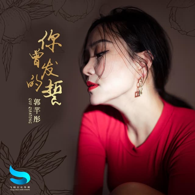 Album cover art for 你曾发的誓