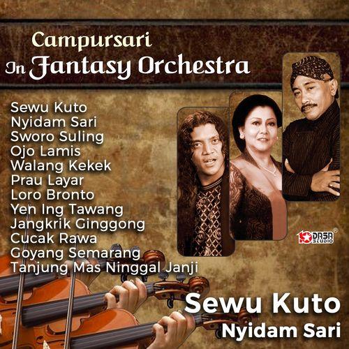 Album cover art for Sewu Kutho