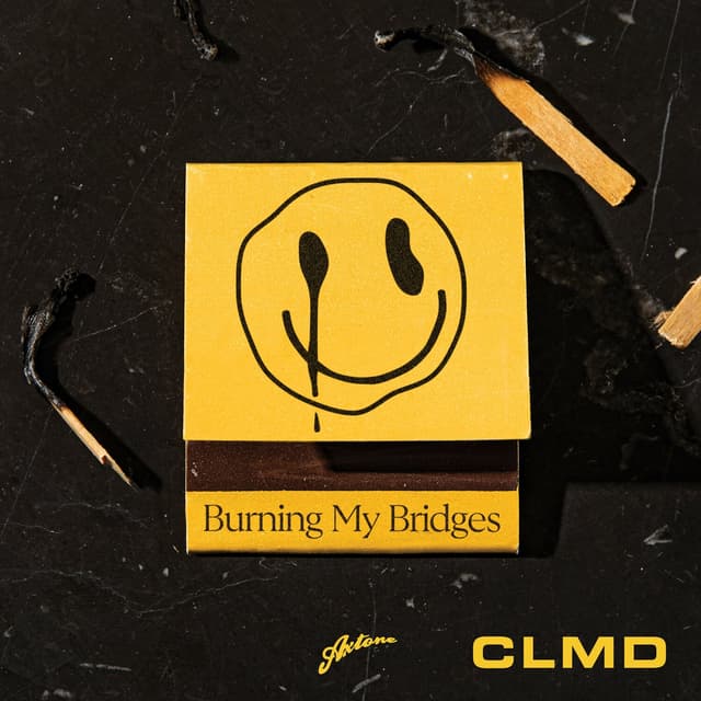 Album cover art for Burning My Bridges