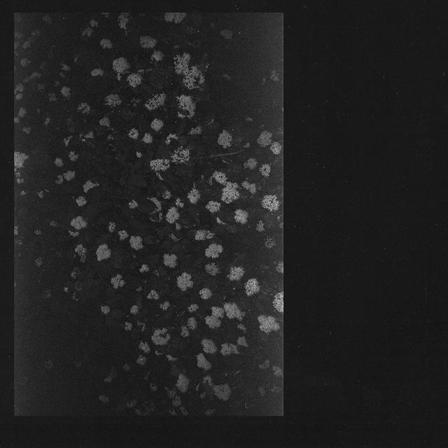 Album cover art for Poverty