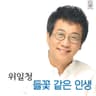 들꽃같은인생