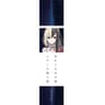 忘れじの言の葉  [2022] (Wasureji No Kotonoha [2022])