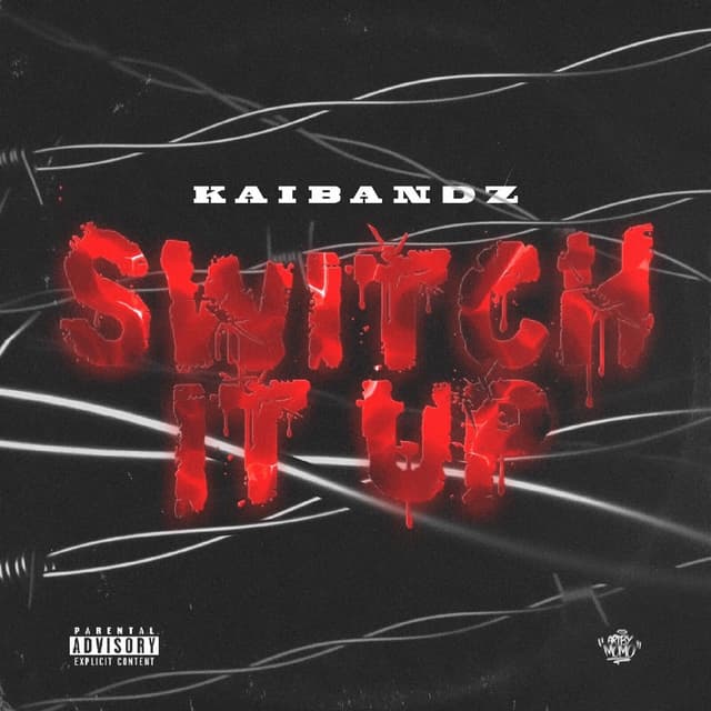 Album cover art for Switch It Up