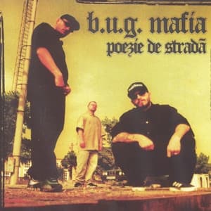 Album cover art for Poezie De Stradă