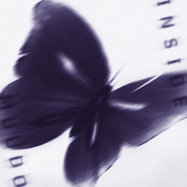 Album cover art for INSIDE