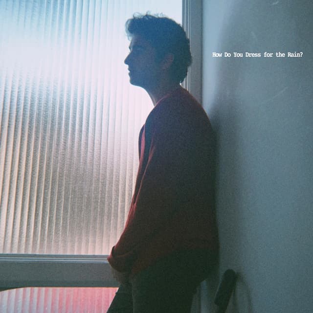 Album cover art for How Do You Dress for the Rain?
