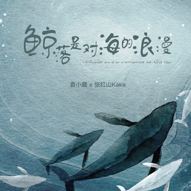 Album cover art for 鲸落是对海的浪漫