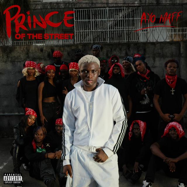 Album cover art for Prince of the Street