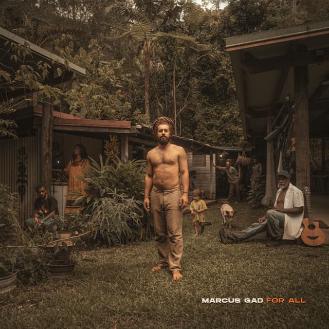 Album cover art for For All