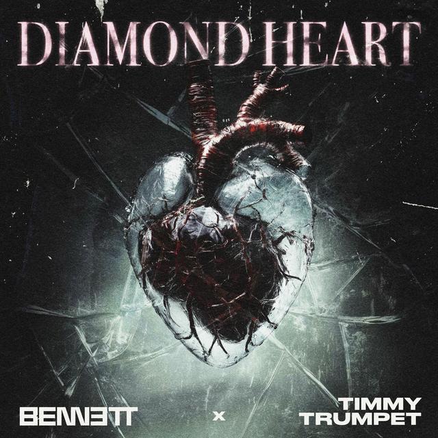 Album cover art for Diamond Heart