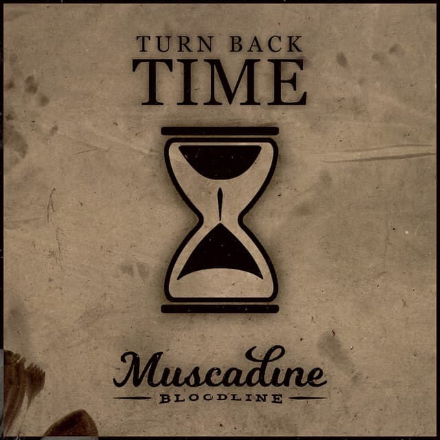 Album cover art for Turn Back Time