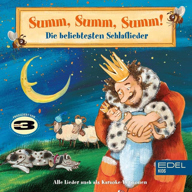 Album cover art for Summ, Summ, Summ! Die beliebtesten Schlaflieder