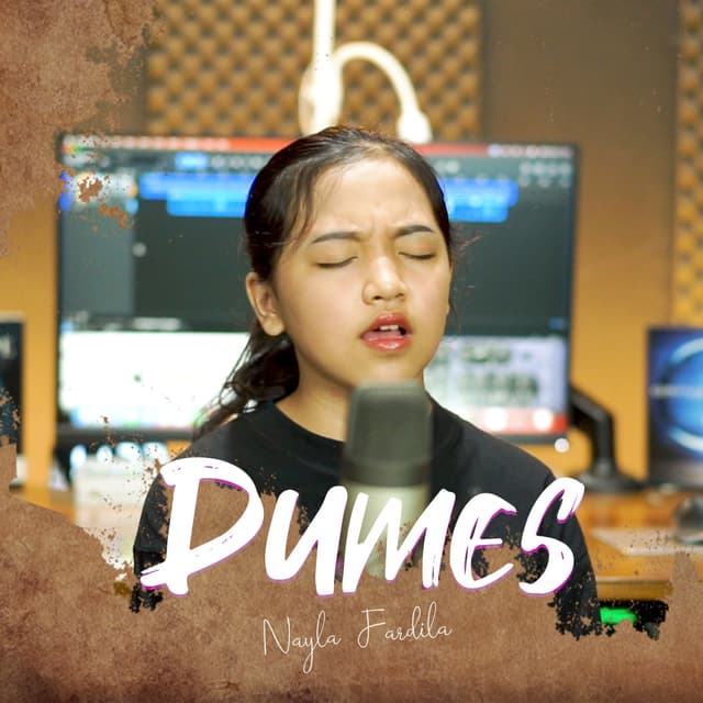 Album cover art for Dumes