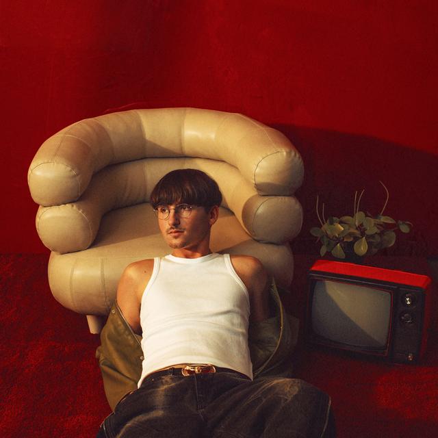 Album cover art for On s'enverra des fleurs