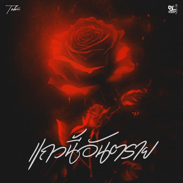 Album cover art for แถวนี้อันตราย