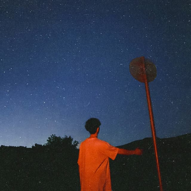 Album cover art for We're still lying