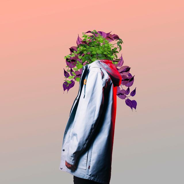 Album cover art for Slow Down