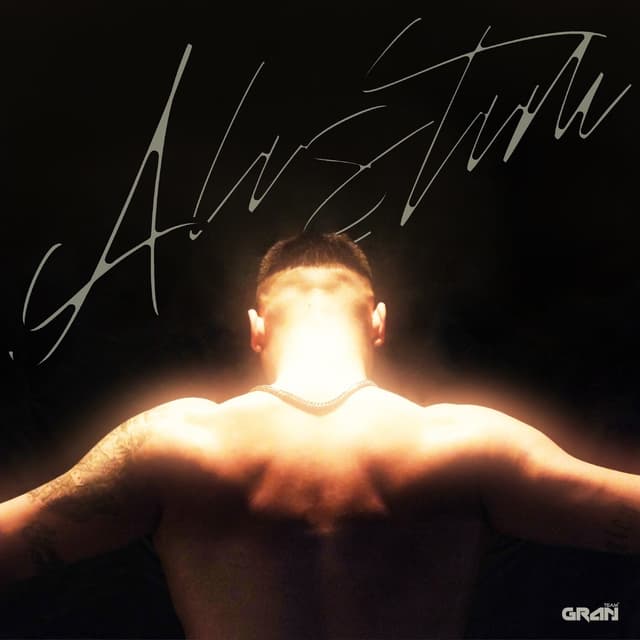 Album cover art for ALIŞTIM