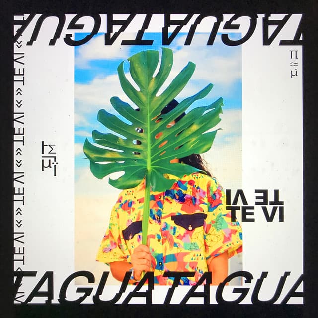 Album cover art for Te Vi