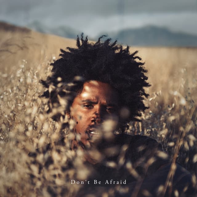 Album cover art for Don't Be Afraid