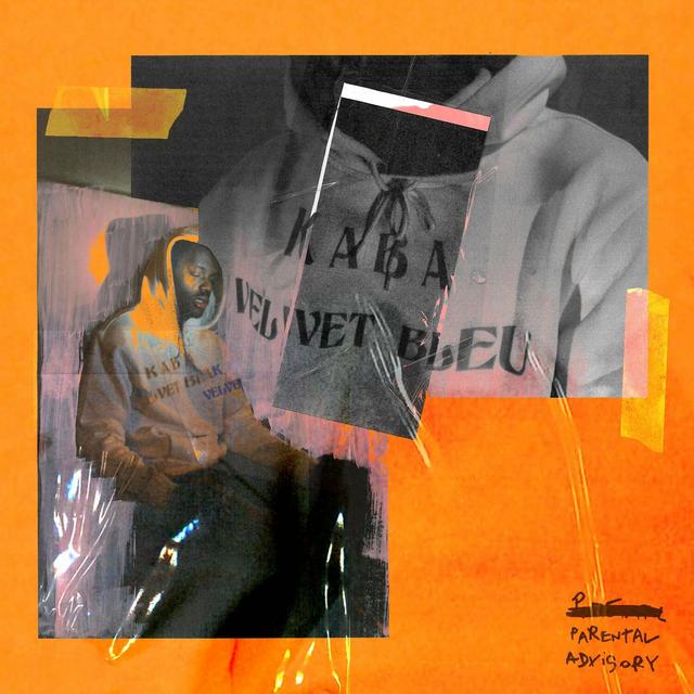 Album cover art for Velvet Bleu