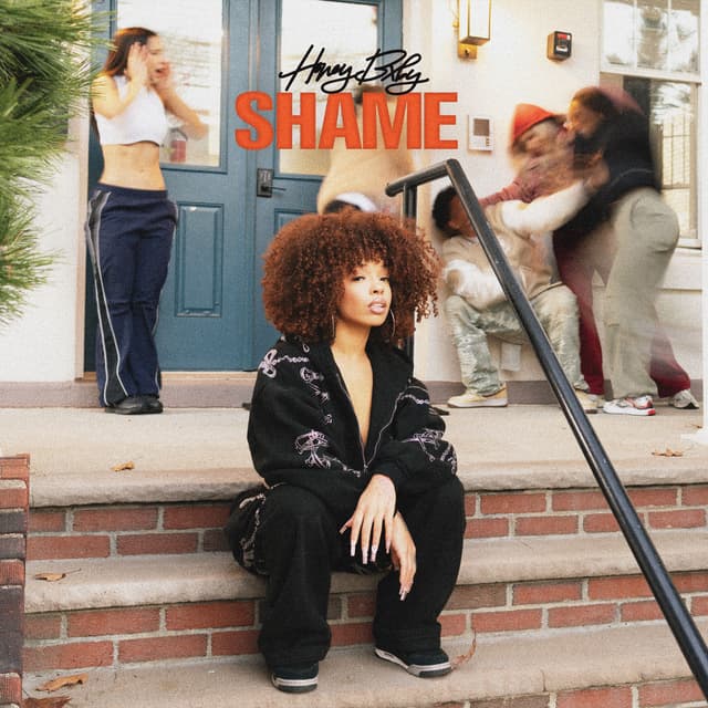 Album cover art for Shame