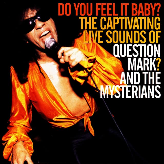 Album cover art for Do You Feel It Baby?