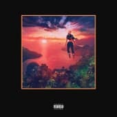 Album cover art for Trouble in Paradise