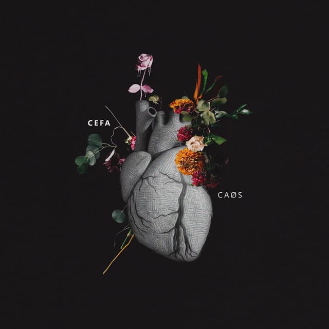 Album cover art for CAØS