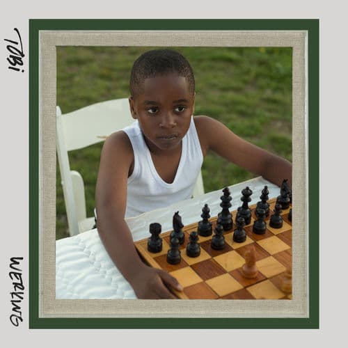 Album cover art for Werking