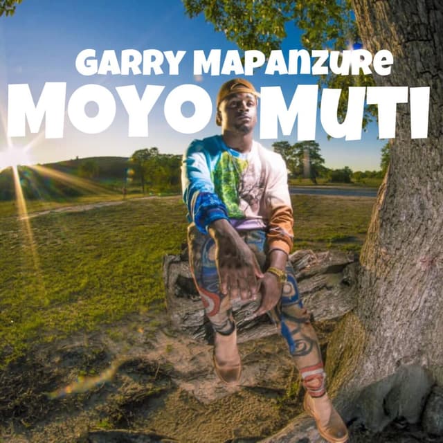 Album cover art for Moyo Muti
