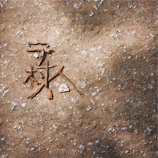 Album cover art for 守村人