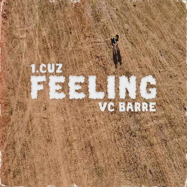 Album cover art for FEELING