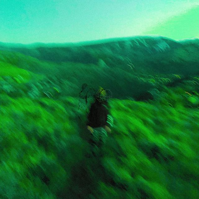 Album cover art for Sorry, I can’t talk right now.