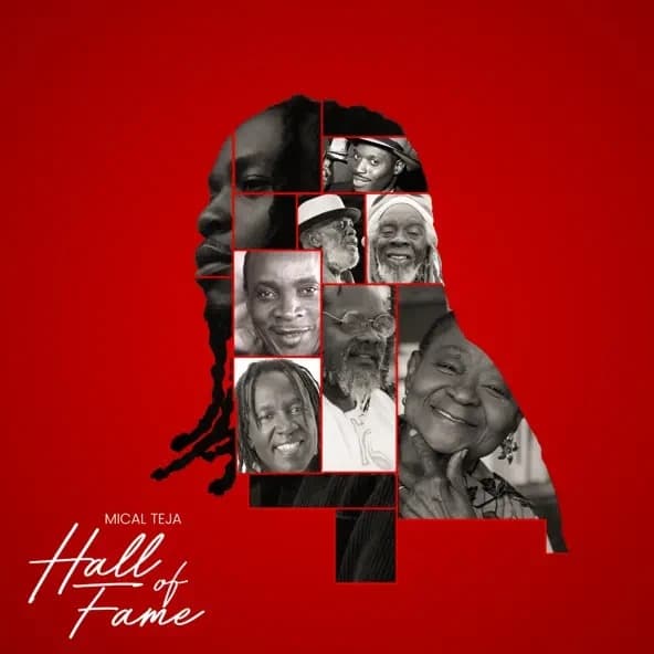Album cover art for Hall of Fame