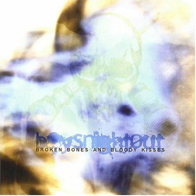 Album cover art for Broken Bones And Bloody Kisses