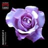 Magnificat & Nunc Dimittis "Sancti Johannis Cantabrigiense": I. Magnificat