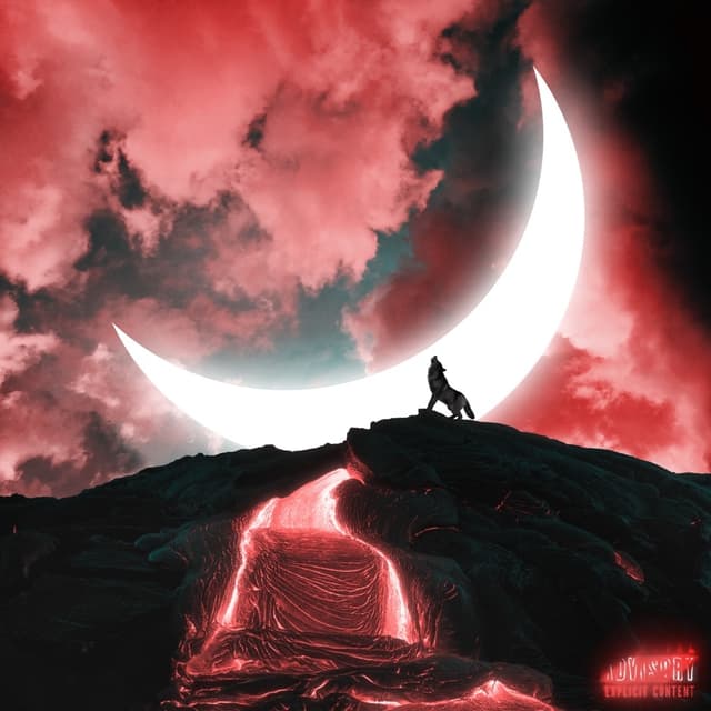 Album cover art for Night of the Wolf