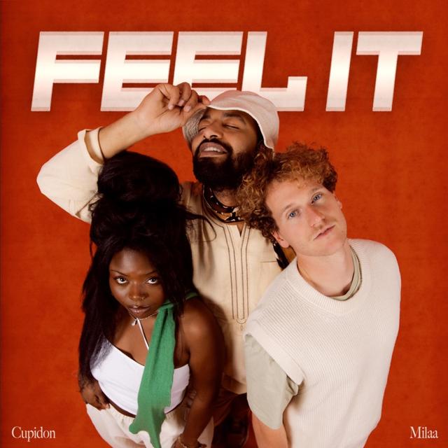 Album cover art for Feel It