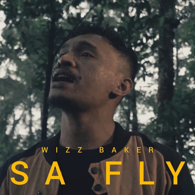 Album cover art for Sa Fly