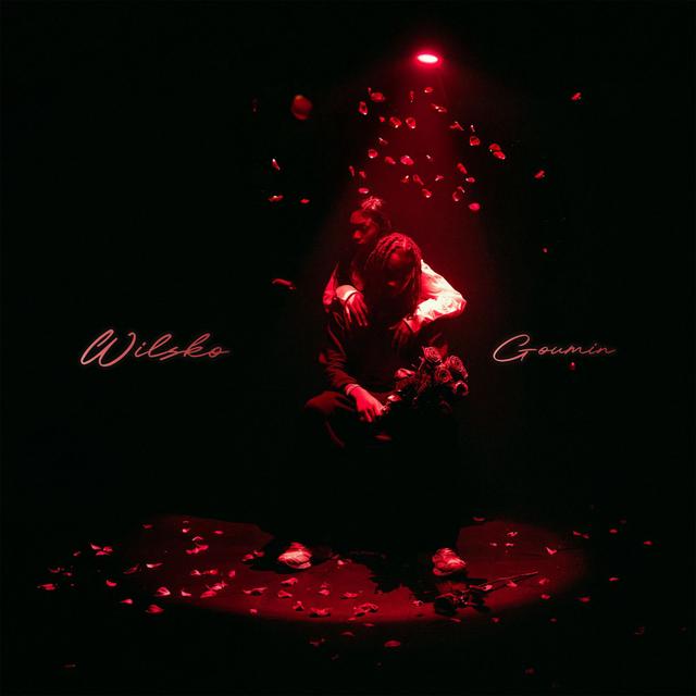 Album cover art for Goumin