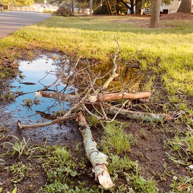 Album cover art for Sticks