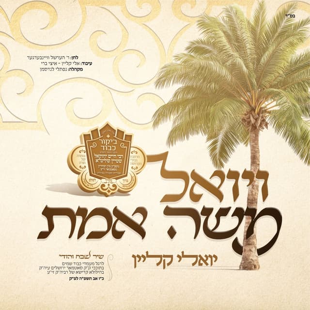 Album cover art for ויואל משה אמת
