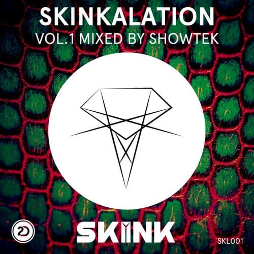 Album cover art for Skinkalation Vol.1
